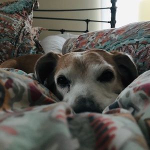 Meet your Posher, Alessandra